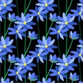 Blue flowers on bleck seamless pattern colorful stock vector illustration